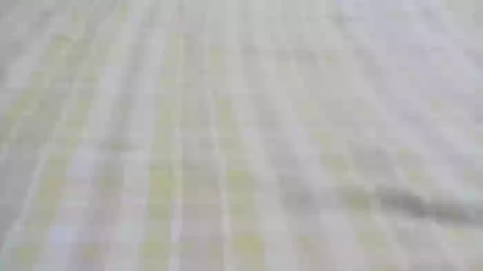 catalina_81