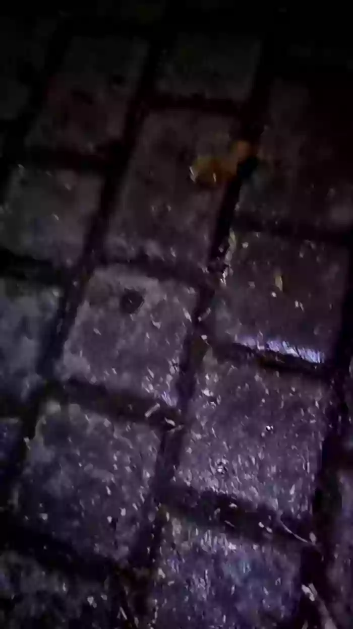 Pornite69