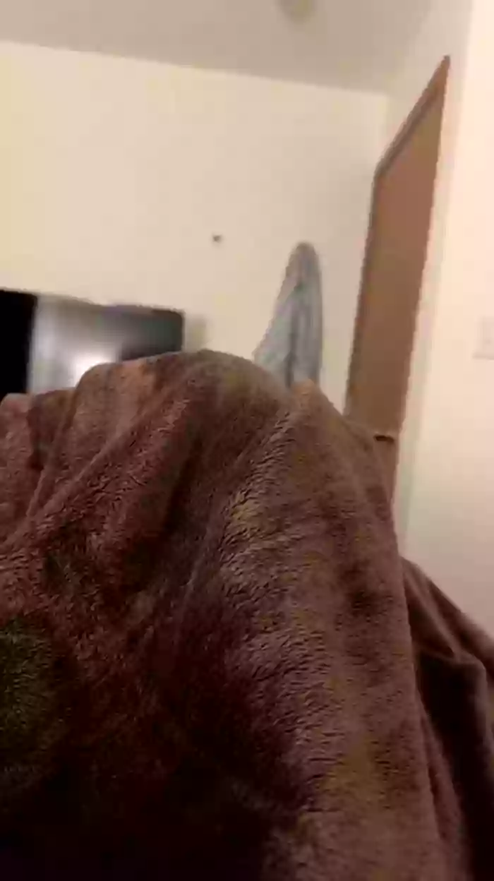 antonieta9