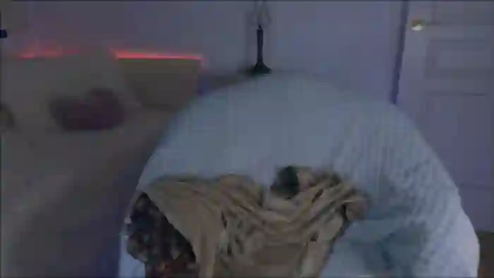 luzyann