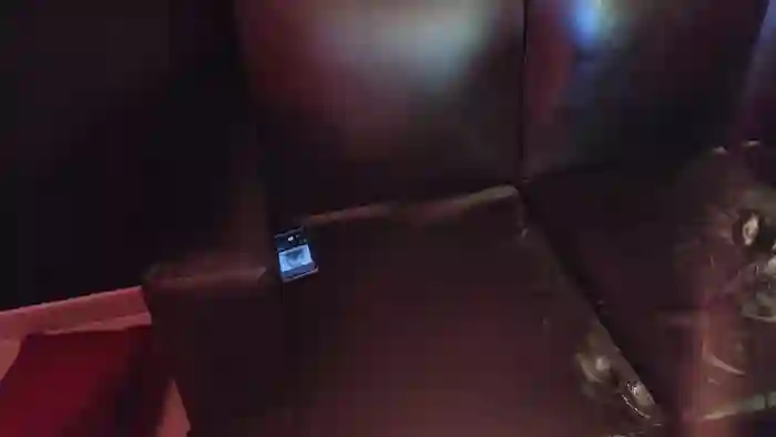 scarlett_1