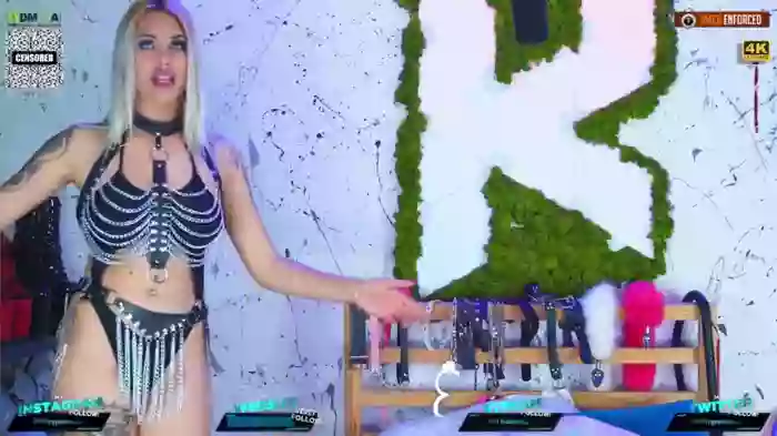 Kittygy