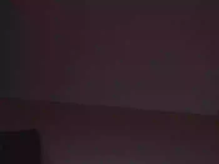 Calistud94