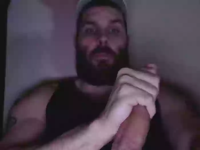 Calistud94
