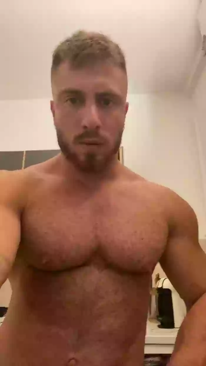 Bigwhitebull