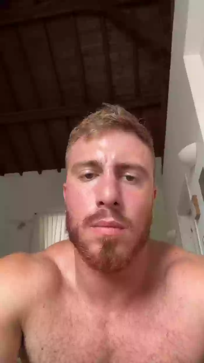 Bigwhitebull
