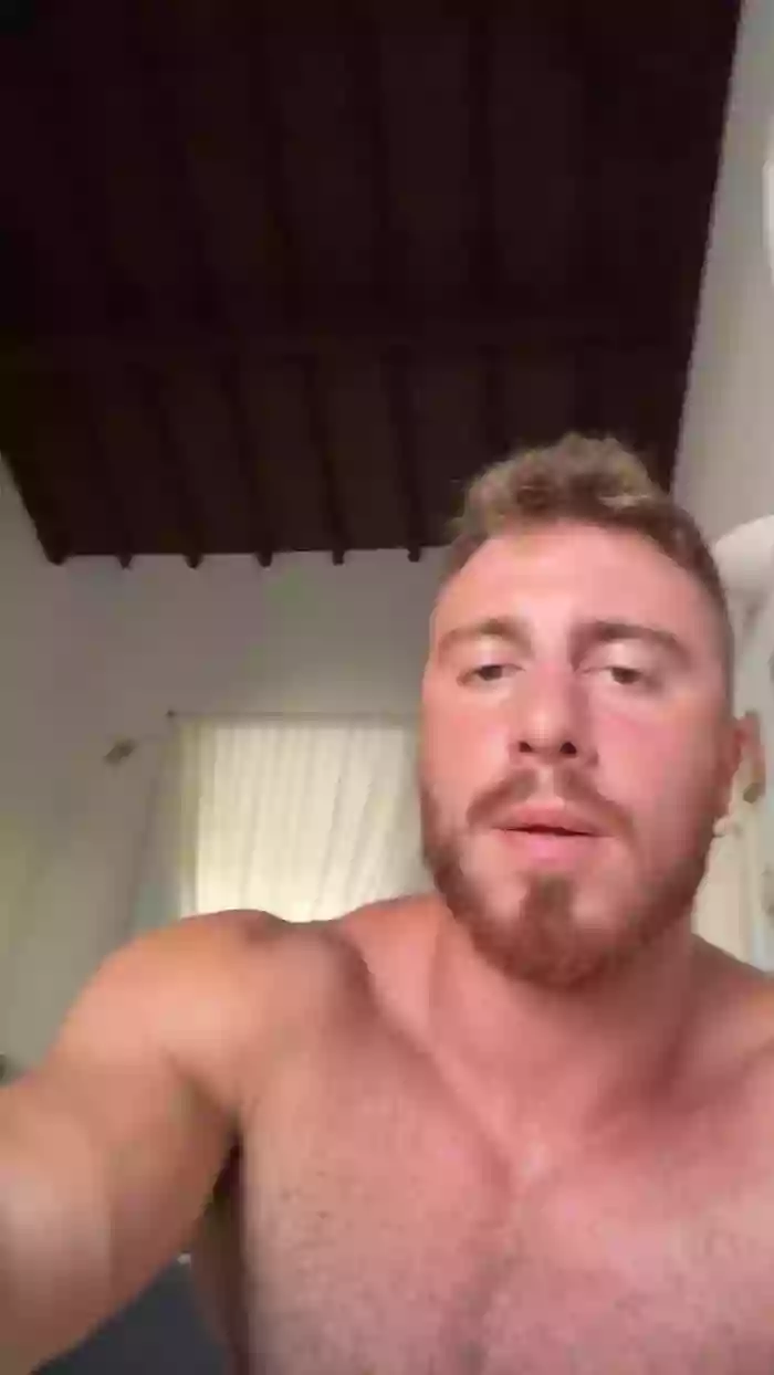 Bigwhitebull