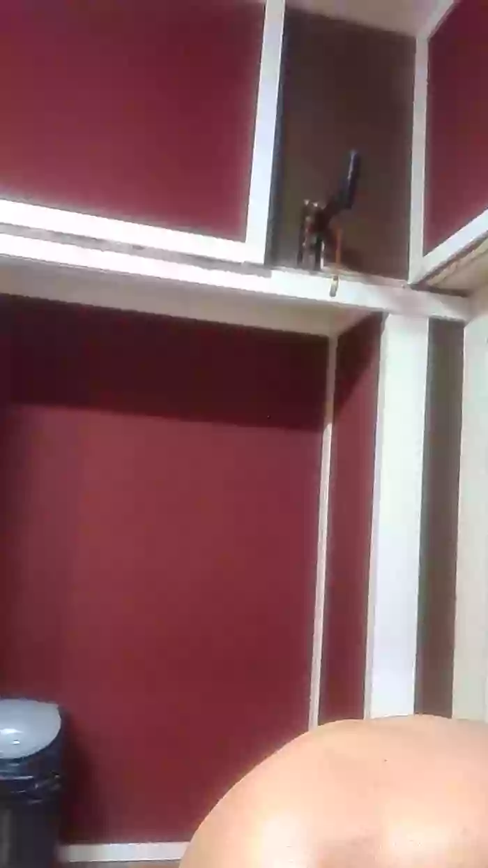 Latinbrp