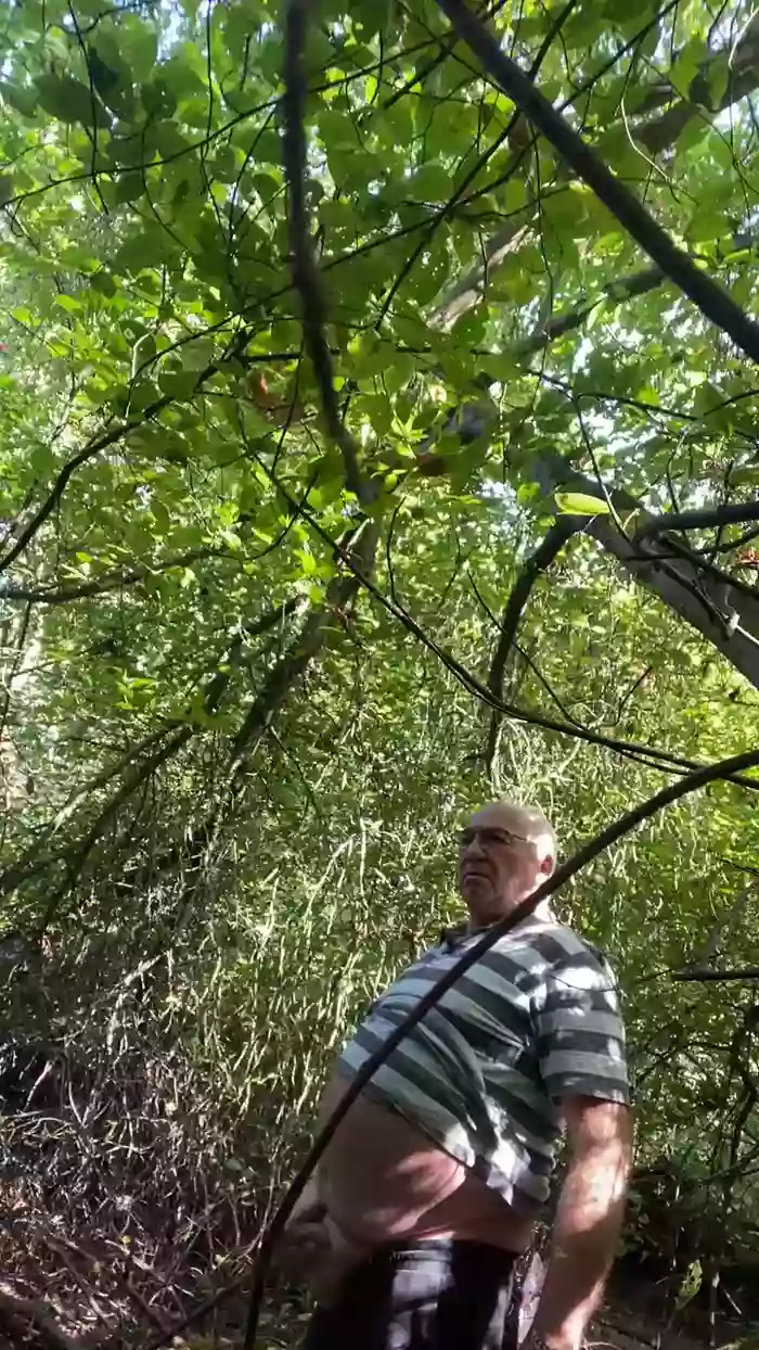 biggandybig