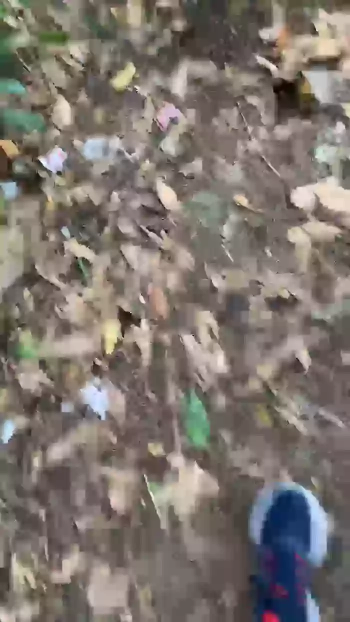 Nado1santos