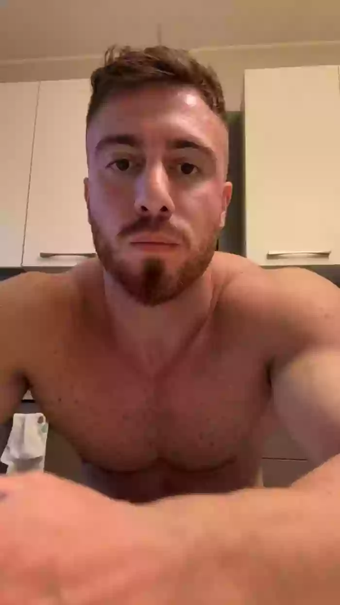 Bigwhitebull