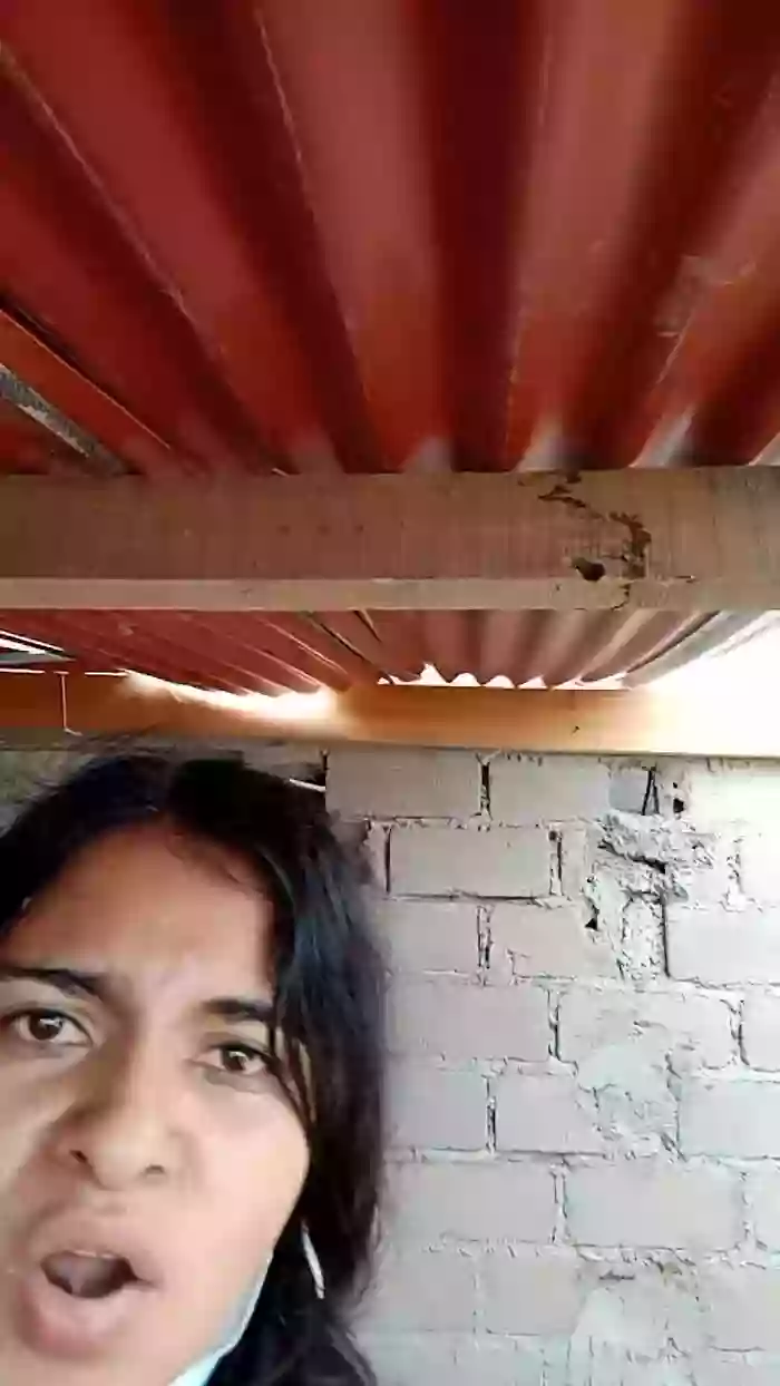 NinphGraceX