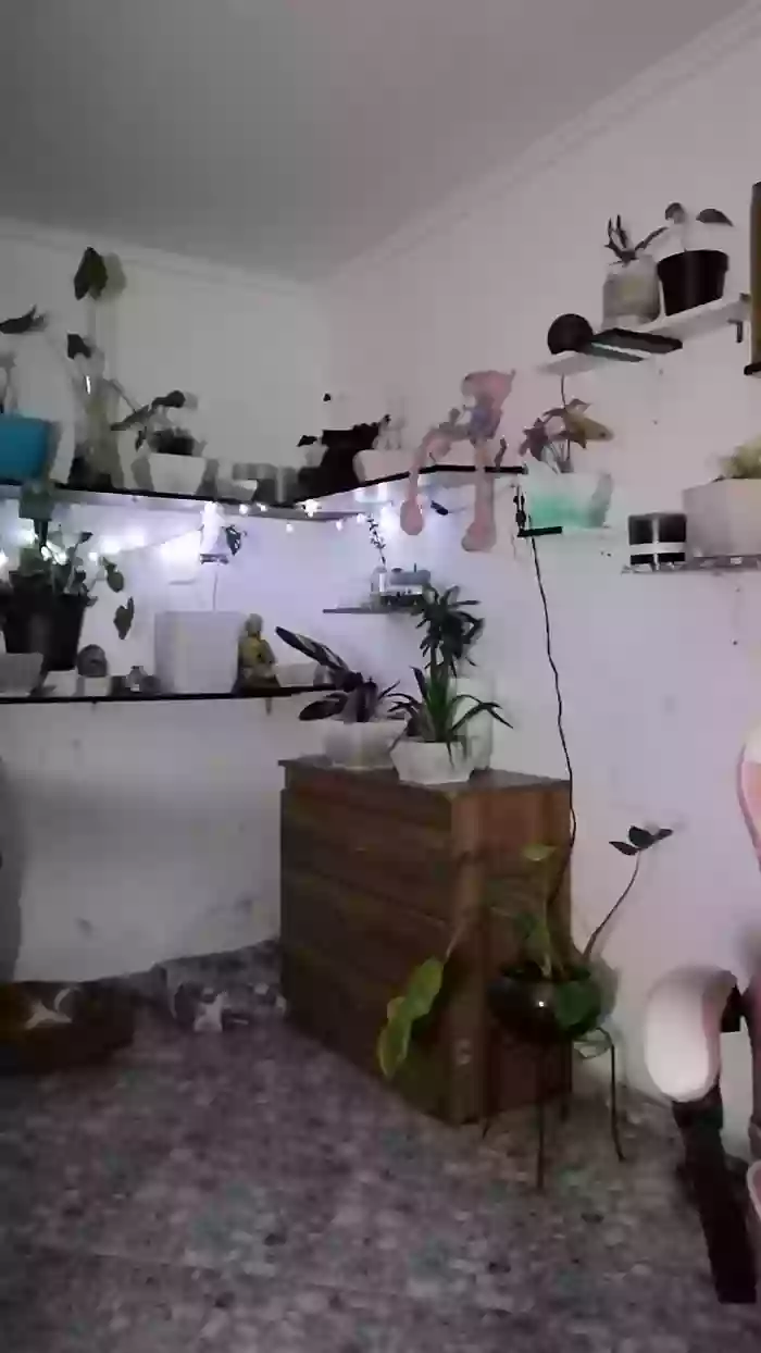 CrazyMom69