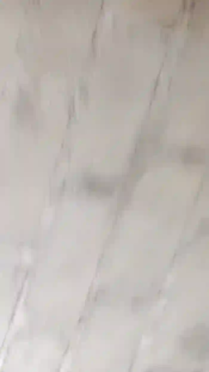 NinphGraceX