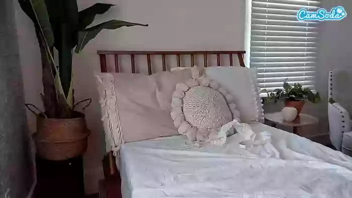 secretsunkitty