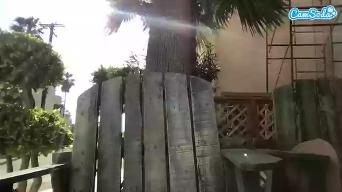 bigbuttbrooklyn