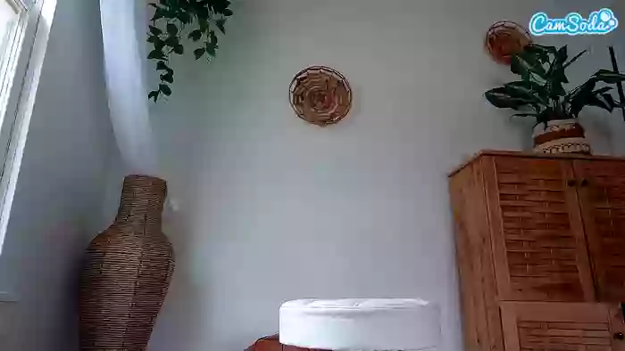 secretsunkitty