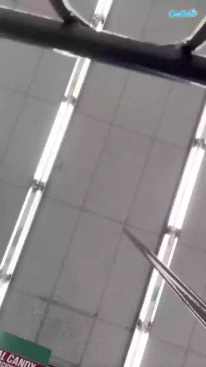 bigbuttbrooklyn