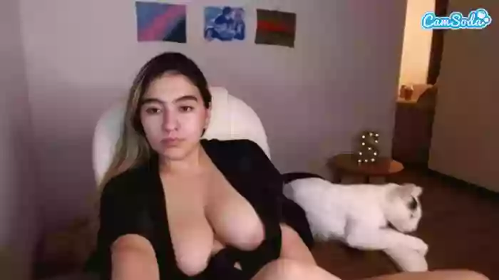 alexyferrer