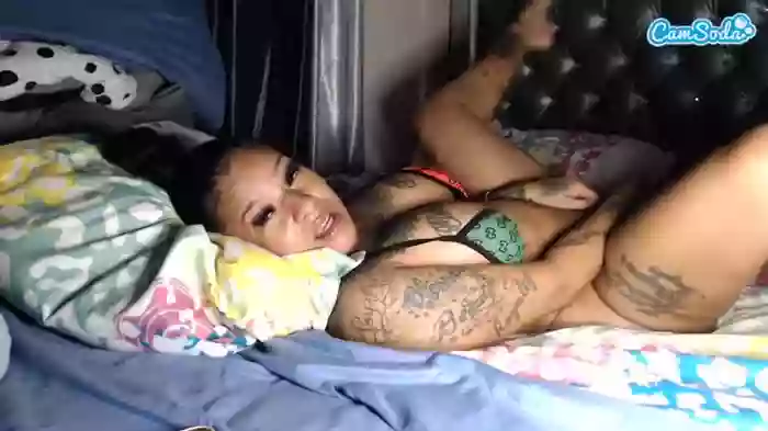 mulattomamii