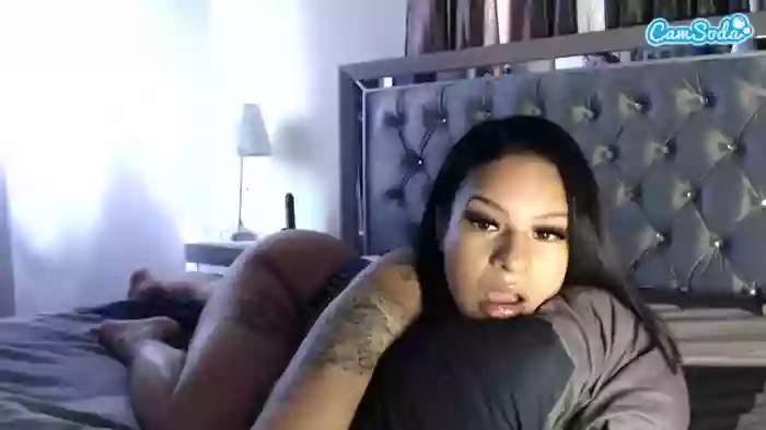 mulattomamii