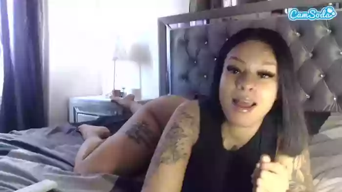 mulattomamii