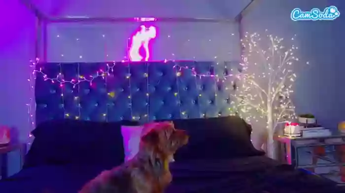 theofficialsophiasanchez