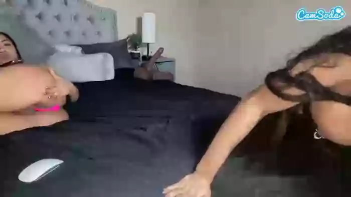 asiastacxxx