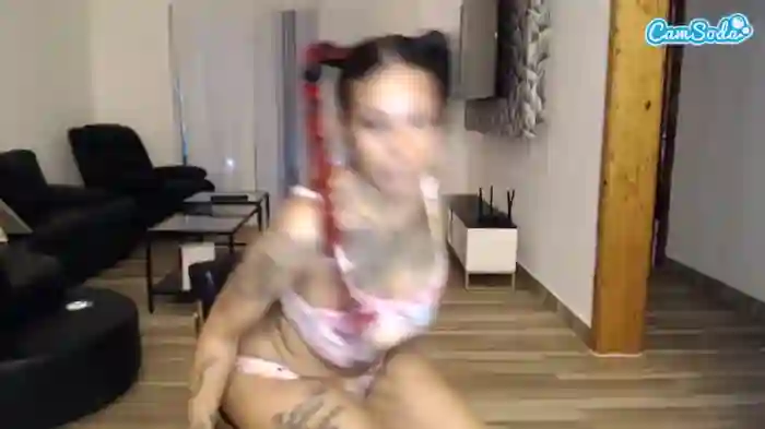 mulattomamii