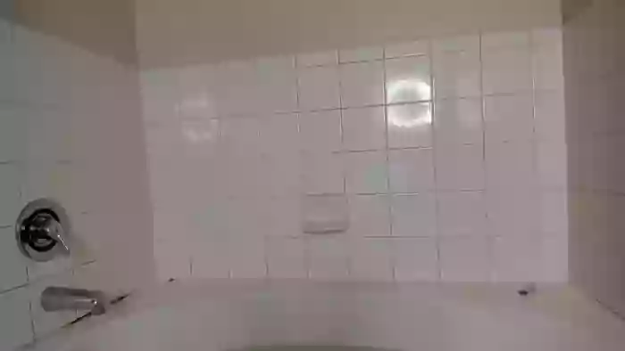 bigdicktrannynicole