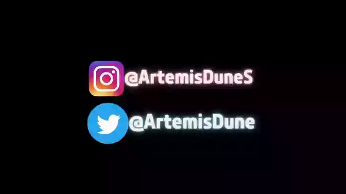 artemisfit