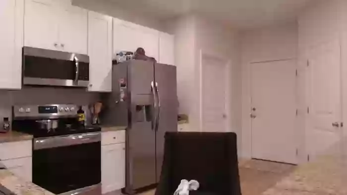 holihurricane
