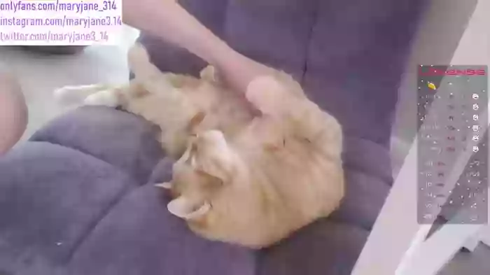 maryjane_314