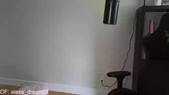 alexa_dream