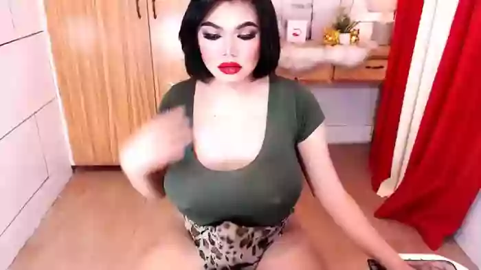 10incheskinkynastytrans