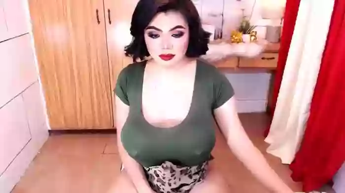 10incheskinkynastytrans