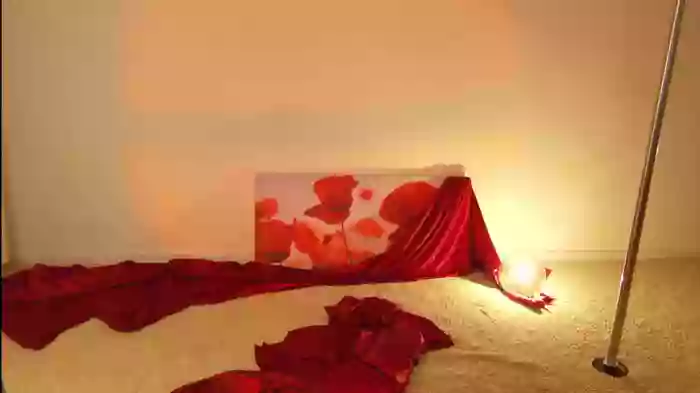 annesense