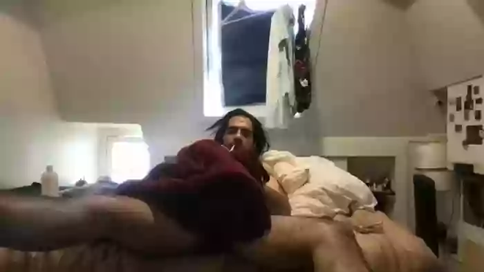 paestree
