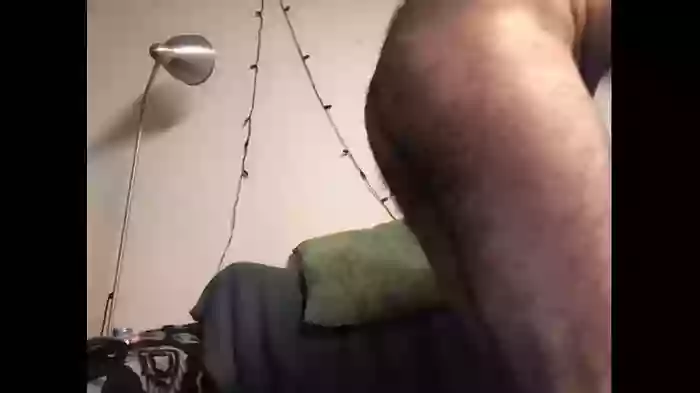 paestree
