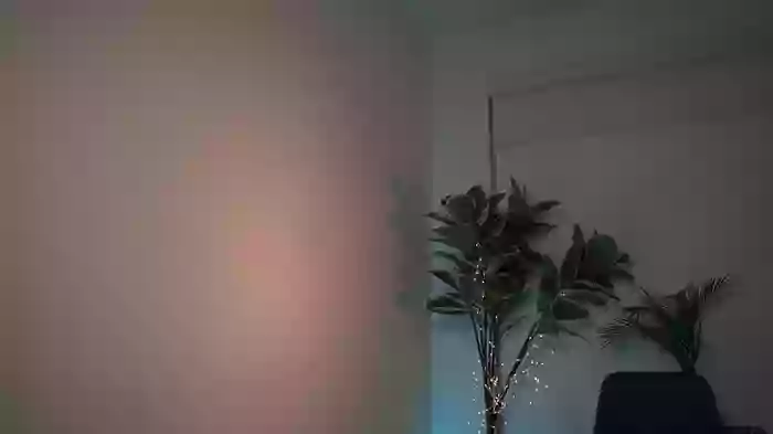letiziafulkers1