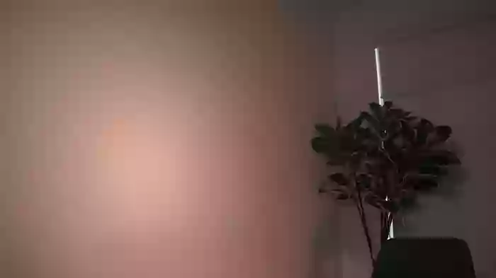letiziafulkers1