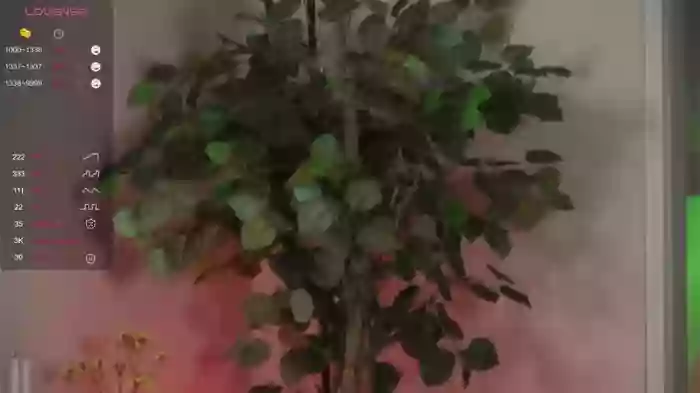 oki_dokie