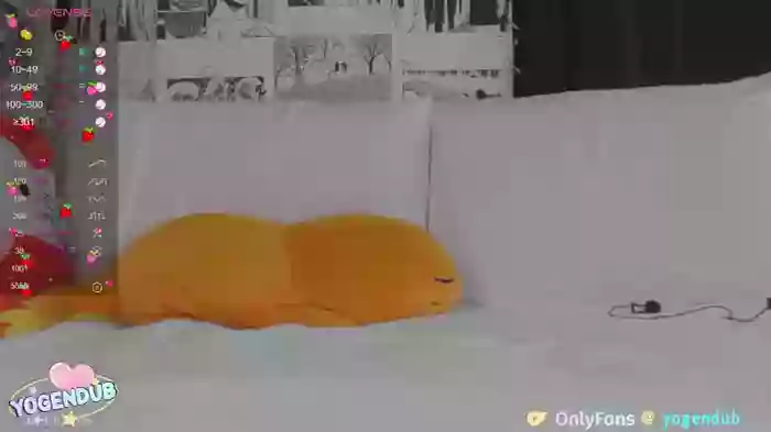 yogendub