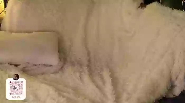owlluree