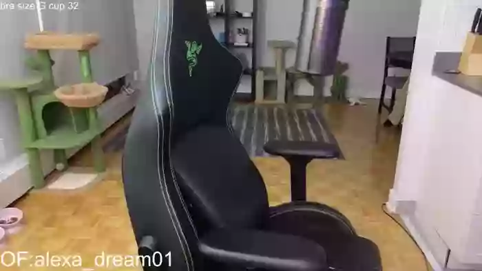 alexa_dream