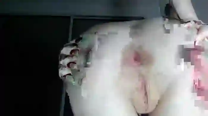 frenchava