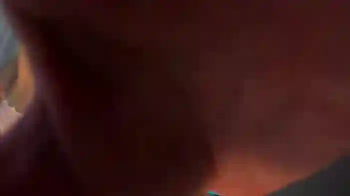 _melissa_rey