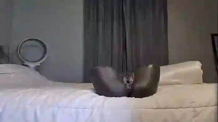 ryanhairystud
