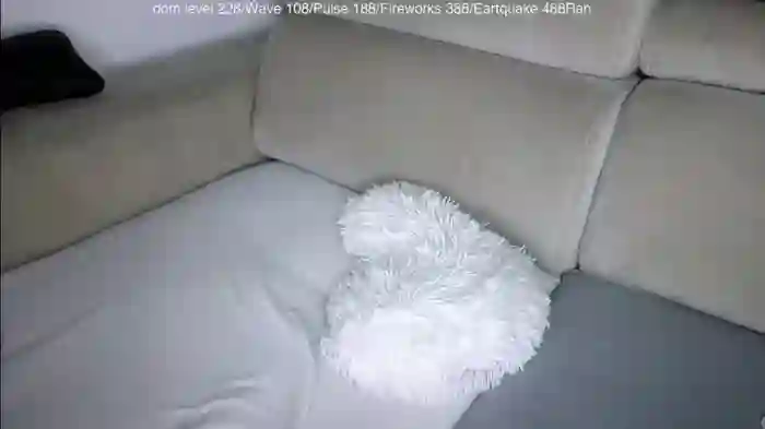 bella_alice