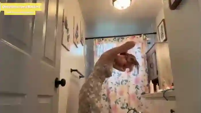 kaileeshy